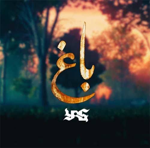 یاغ
